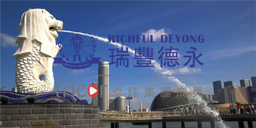 新加坡的優勢