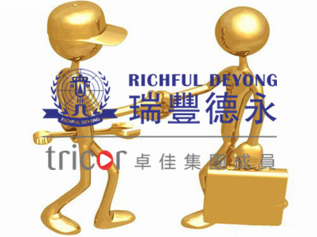 境內(nèi)企業(yè)搭建VIE架構(gòu)的原因