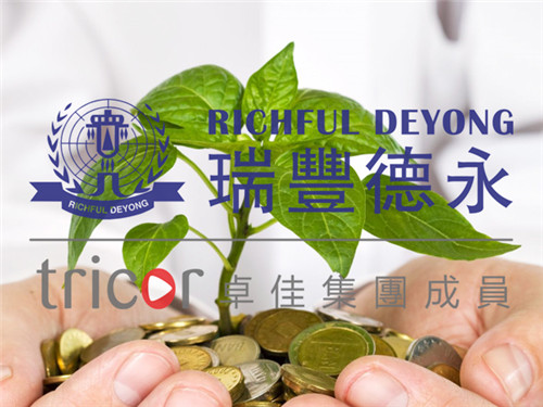 菲律賓公司找代理做賬報稅的好處